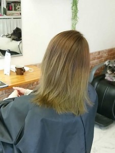 hairgallery_img025